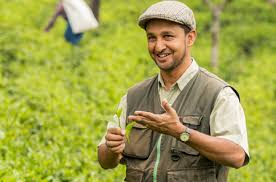 TEA FIELD ASSISTANT( NVQ Level 04)